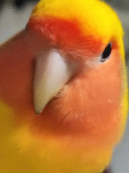 1753165683861708.png 8.png