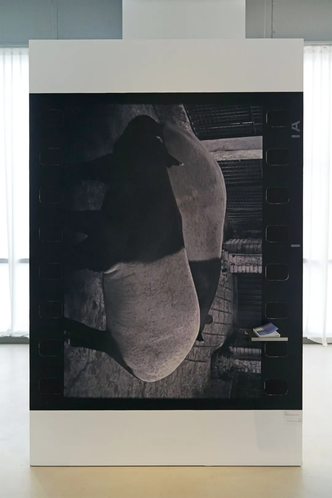 1753415572142102.jpg 640-15.jpg