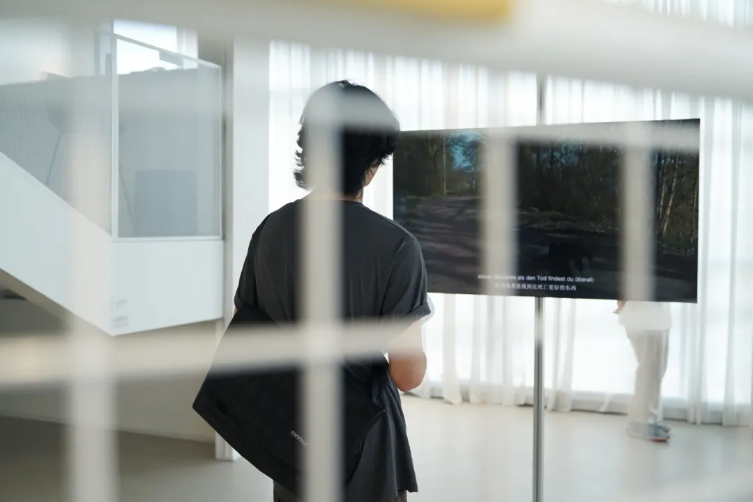 1753605839939173.jpg 640-12.jpg