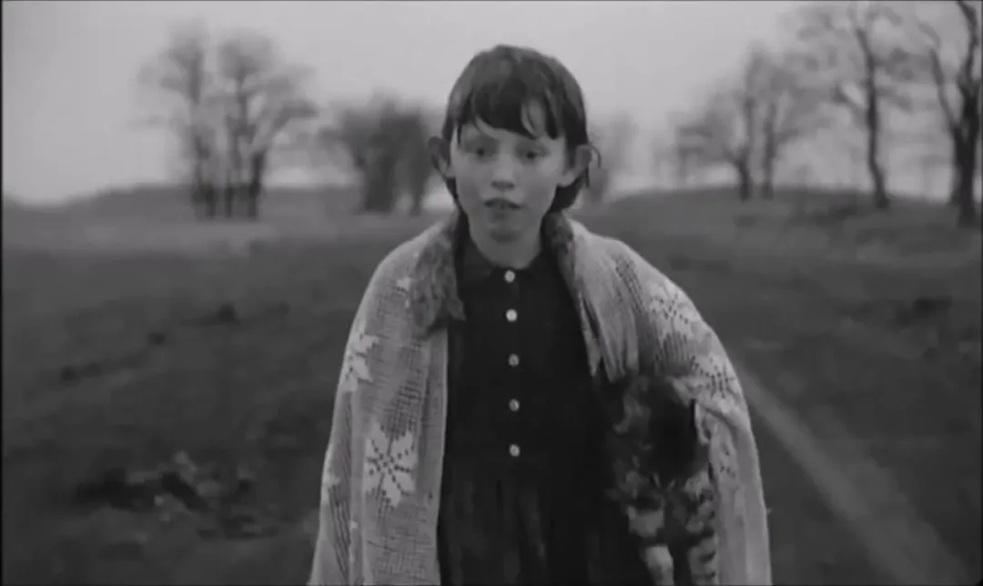 1754025993486230.jpg 640-9.jpg