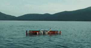 1754811591340725.gif 640-2.gif