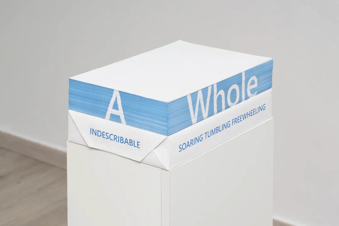 1754813902572880.jpg 640-5.jpg