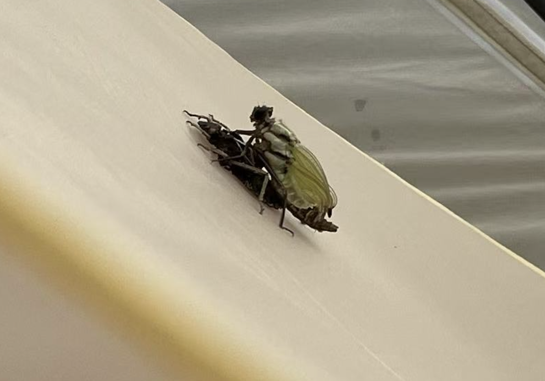 1755190363602415.png 1.png