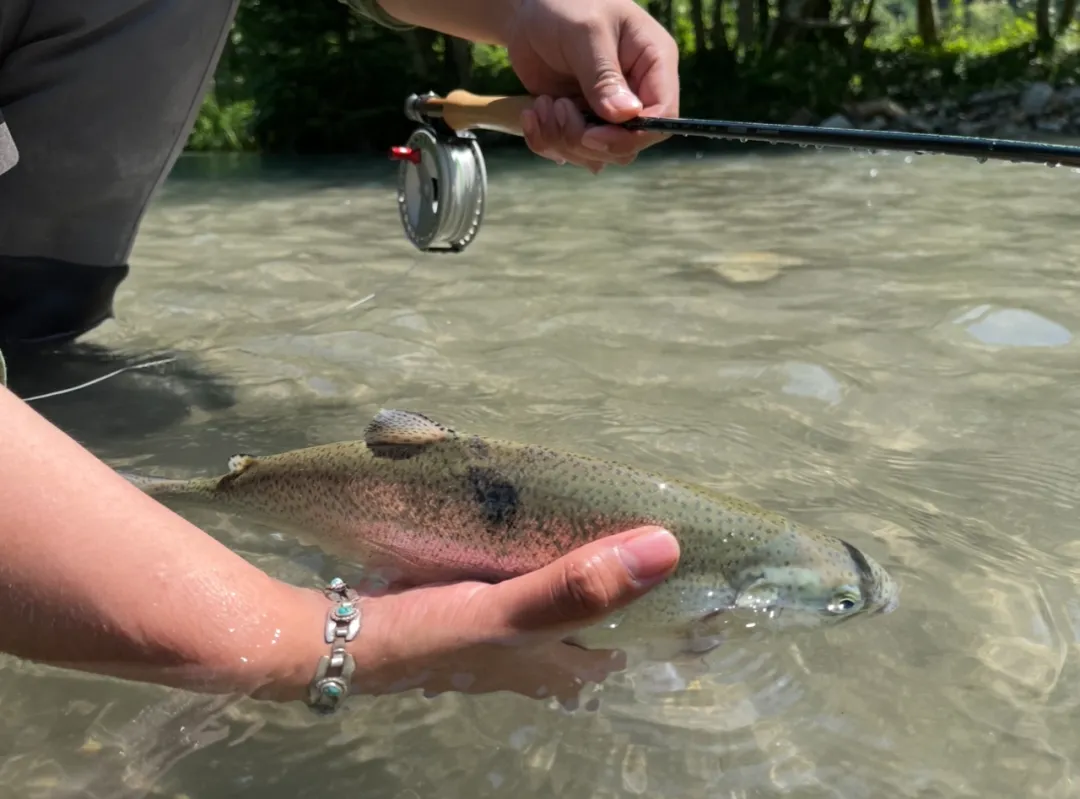 1755453897287444.jpg 640-9.jpg