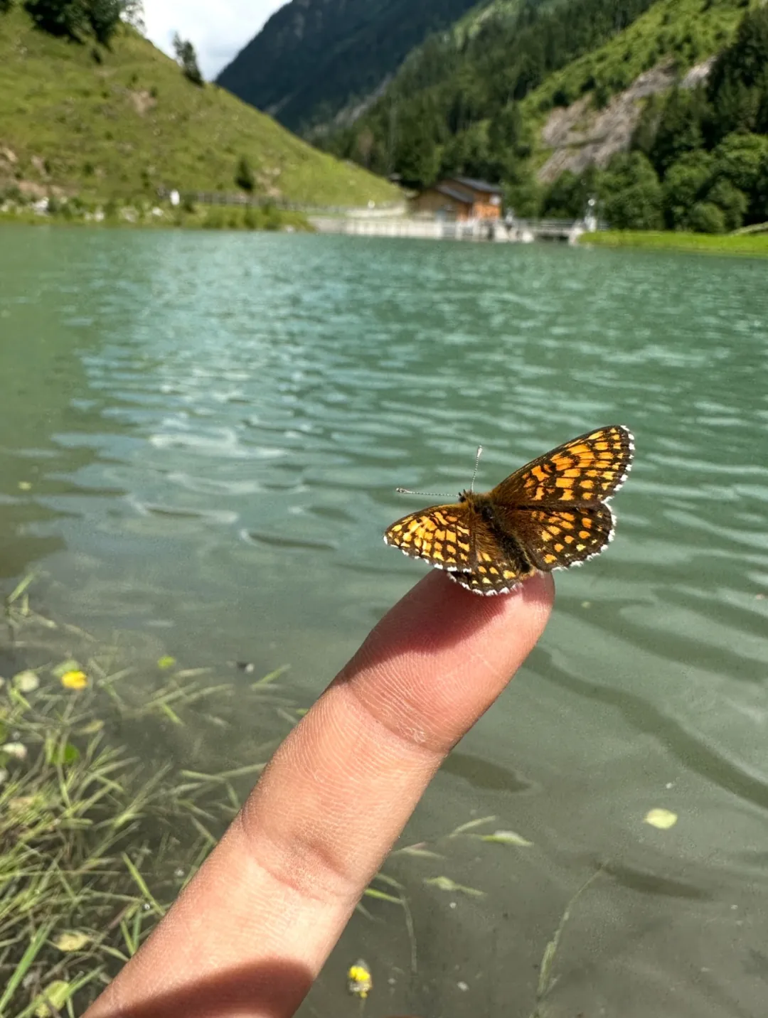 1755453897752420.jpg 640-10.jpg