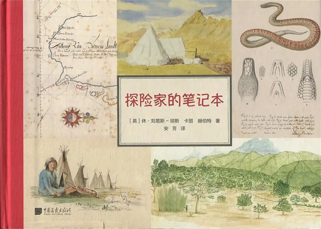 1755454138778825.jpg 640-12.jpg