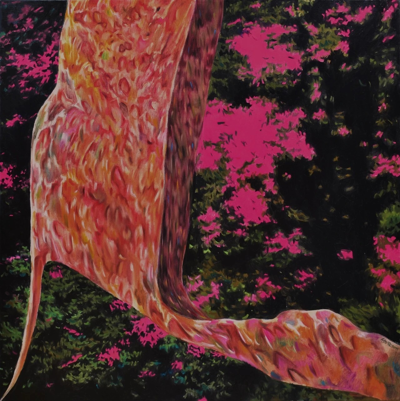 1755657931663632.jpg 9.jpg