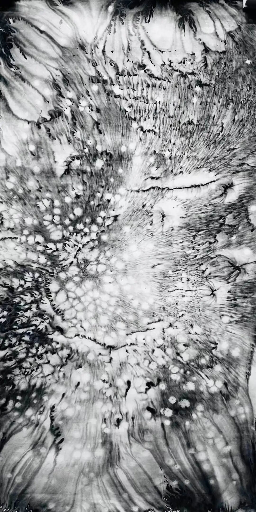 1764518631308253.jpeg 1.jpeg